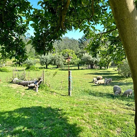 Casa S.claudio - Rural Near Viana Do Castelo * Nogueira (Viana do Castelo)