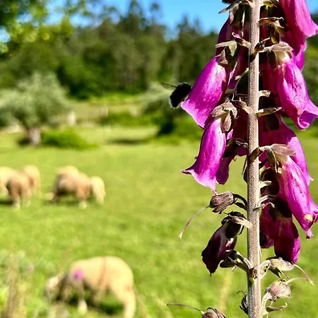 Casa S.claudio - Rural Near Viana Do Castelo *
