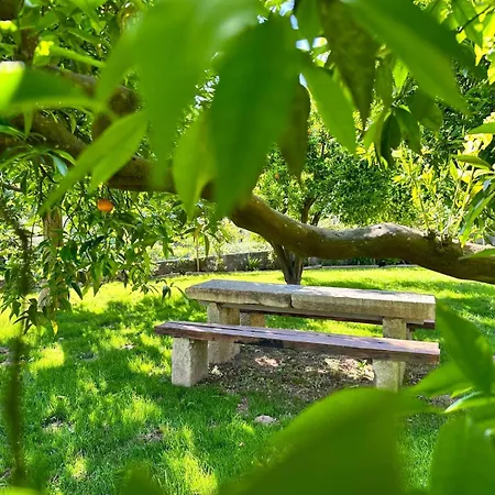 Casa S.claudio - Rural Near Viana Do Castelo Nogueira (Viana do Castelo)