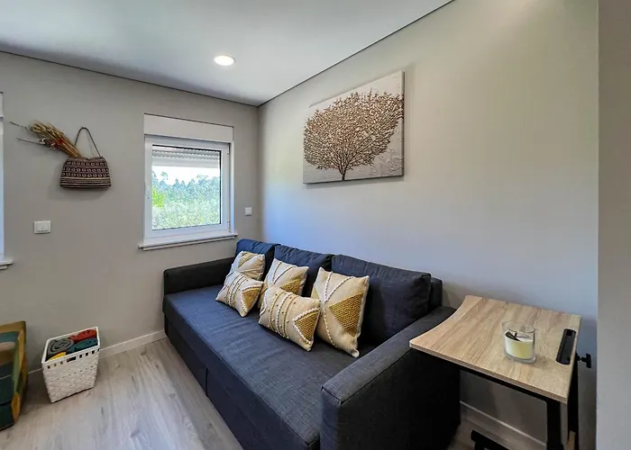 Casa S.claudio - Rural Near Viana Do Castelo Feriehus *