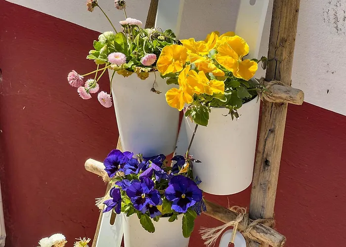 Feriehus Casa S.claudio - Rural Near Viana Do Castelo Nogueira (Viana do Castelo)