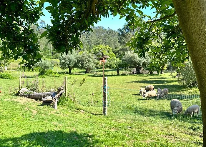 Casa S.claudio - Rural Near Viana Do Castelo * Nogueira (Viana do Castelo)