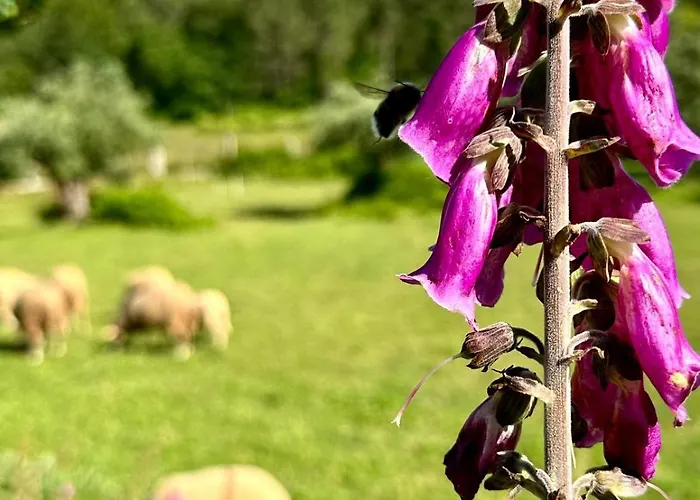 Casa S.claudio - Rural Near Viana Do Castelo *
