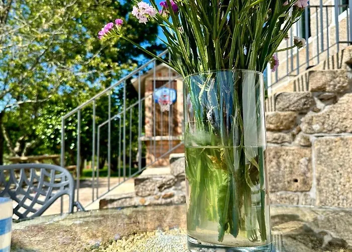 Casa S.claudio - Rural Near Viana Do Castelo Hébergement de vacances Nogueira (Viana do Castelo)